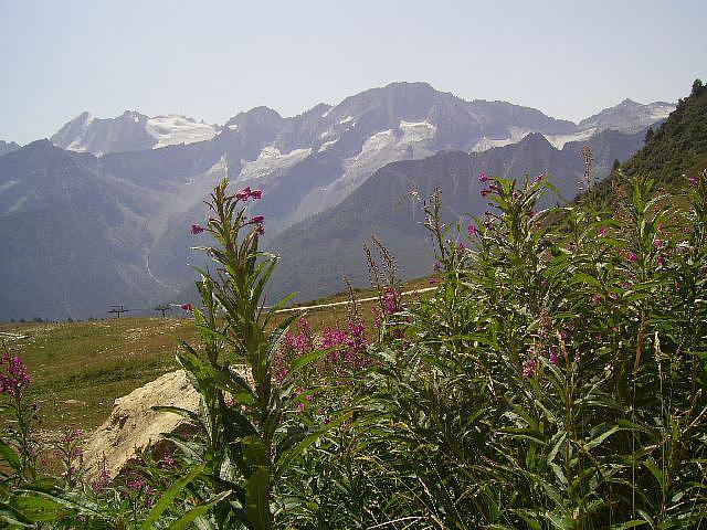 img01