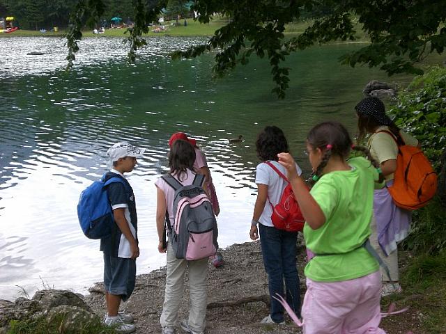 img06