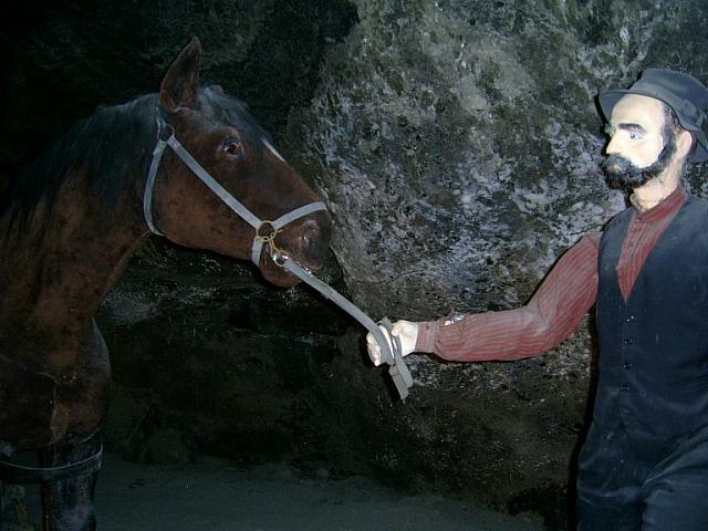 img17