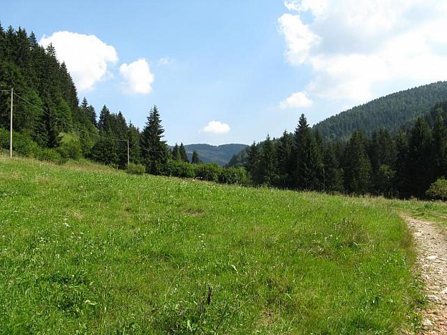 img19