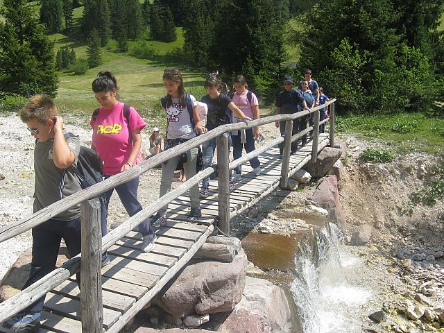 IMG 2691