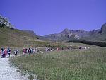 img17