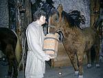 img18