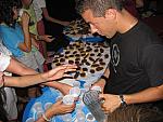 img41
