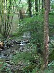 IMG_9797