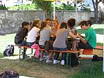 IMG 8778