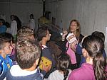 IMG 5515